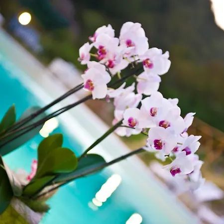 Casa di campagna Ca' Montioni *